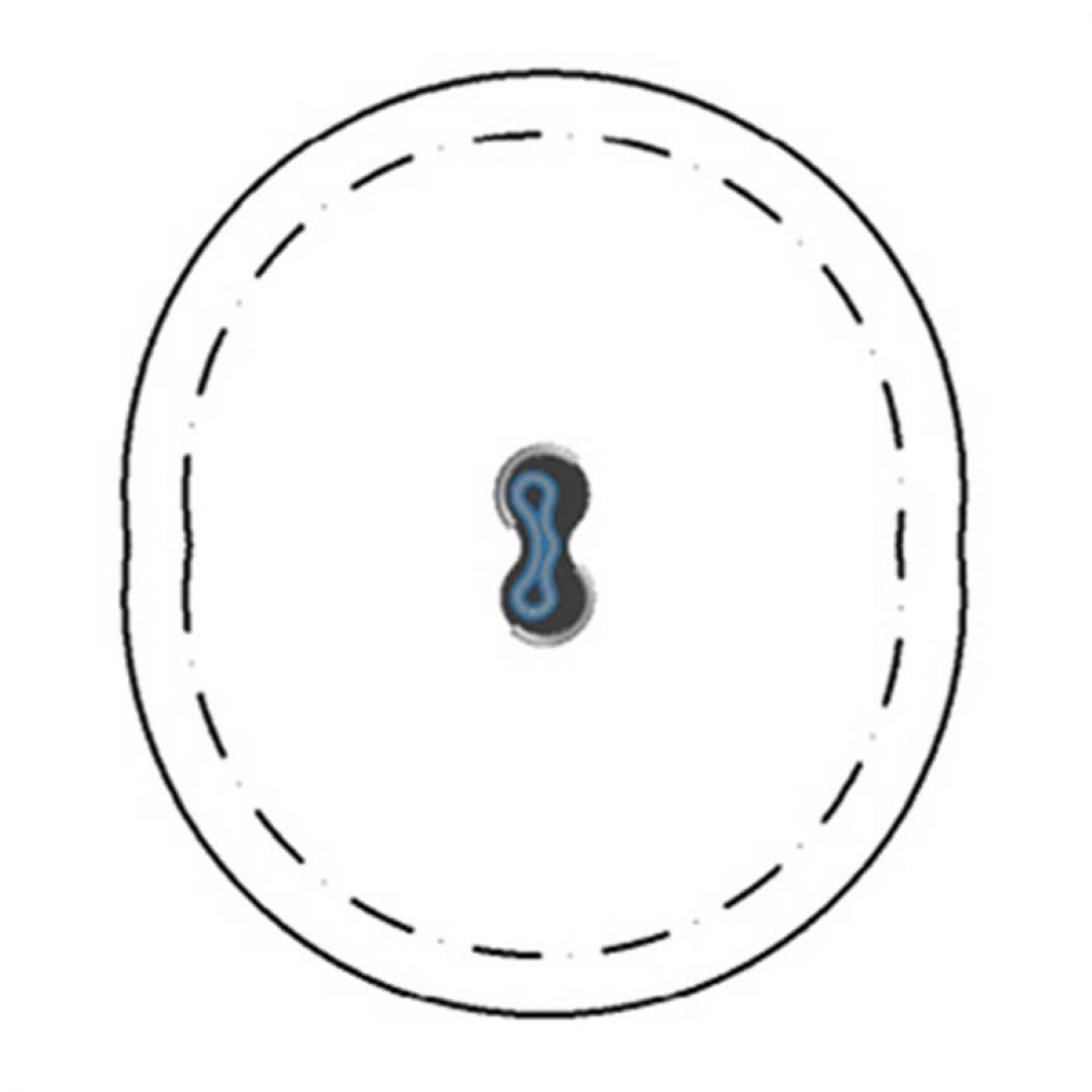 Hula‑Loop.01