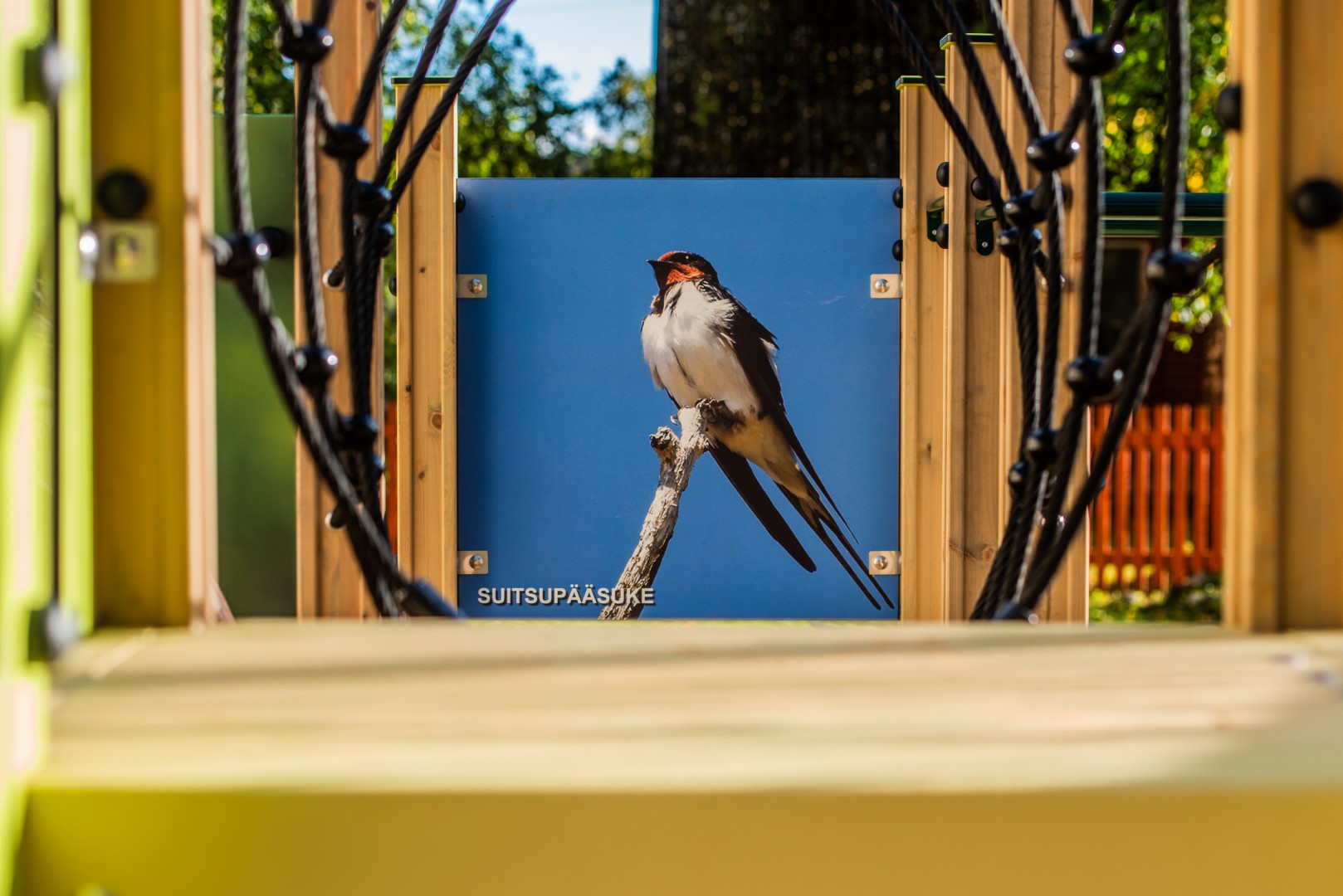 Gedrukt activiteitenpaneel