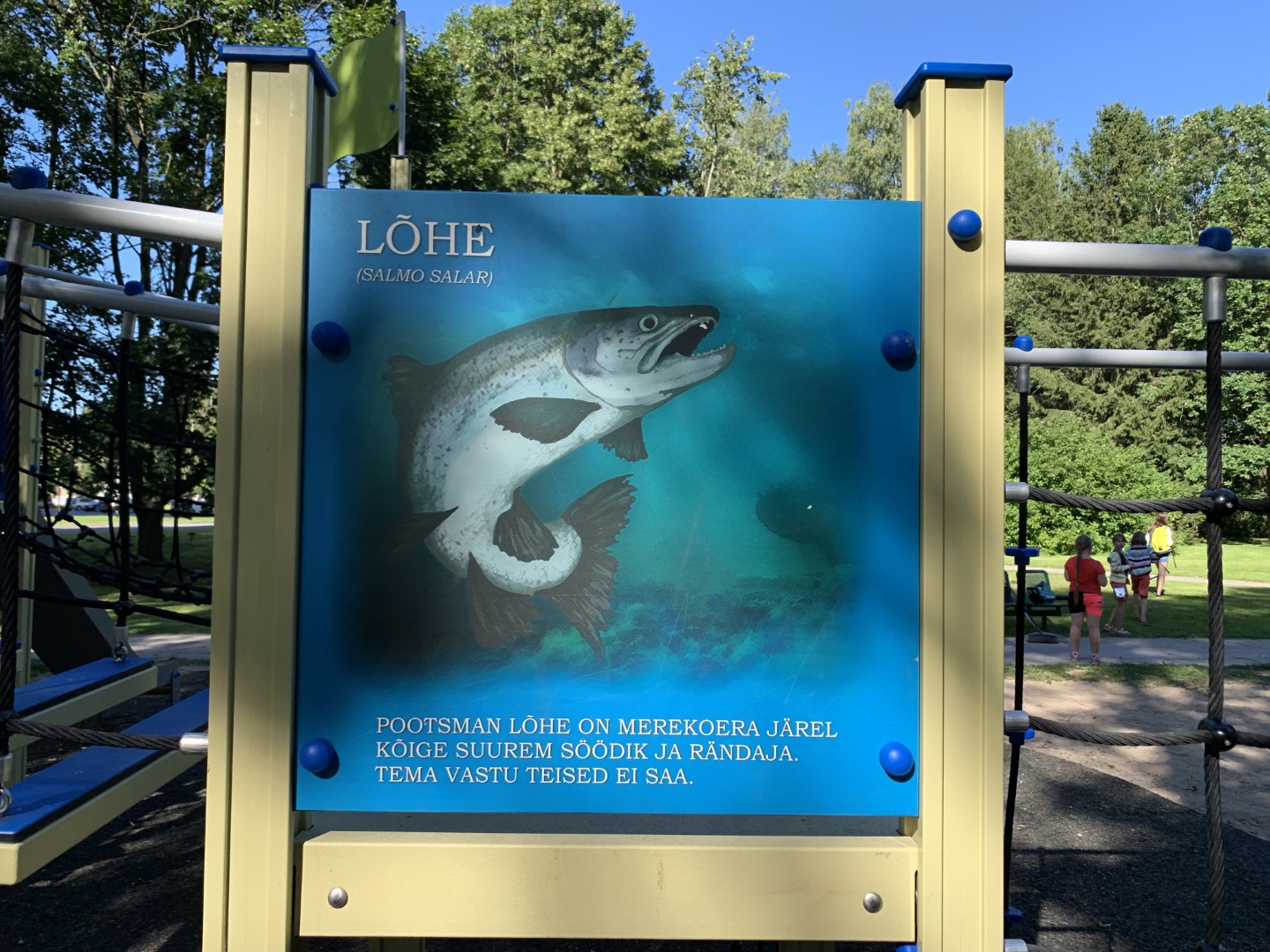 Gedrukt activiteitenpaneel WATERWERELD