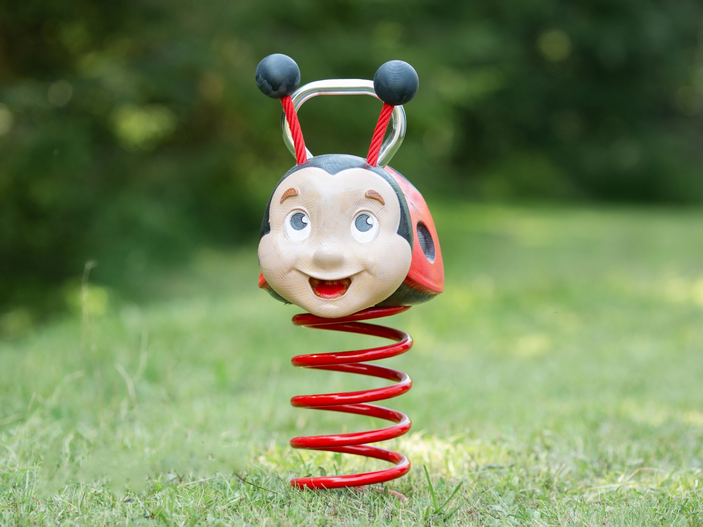 Veerwip LIEVEHEERSBEESTJE