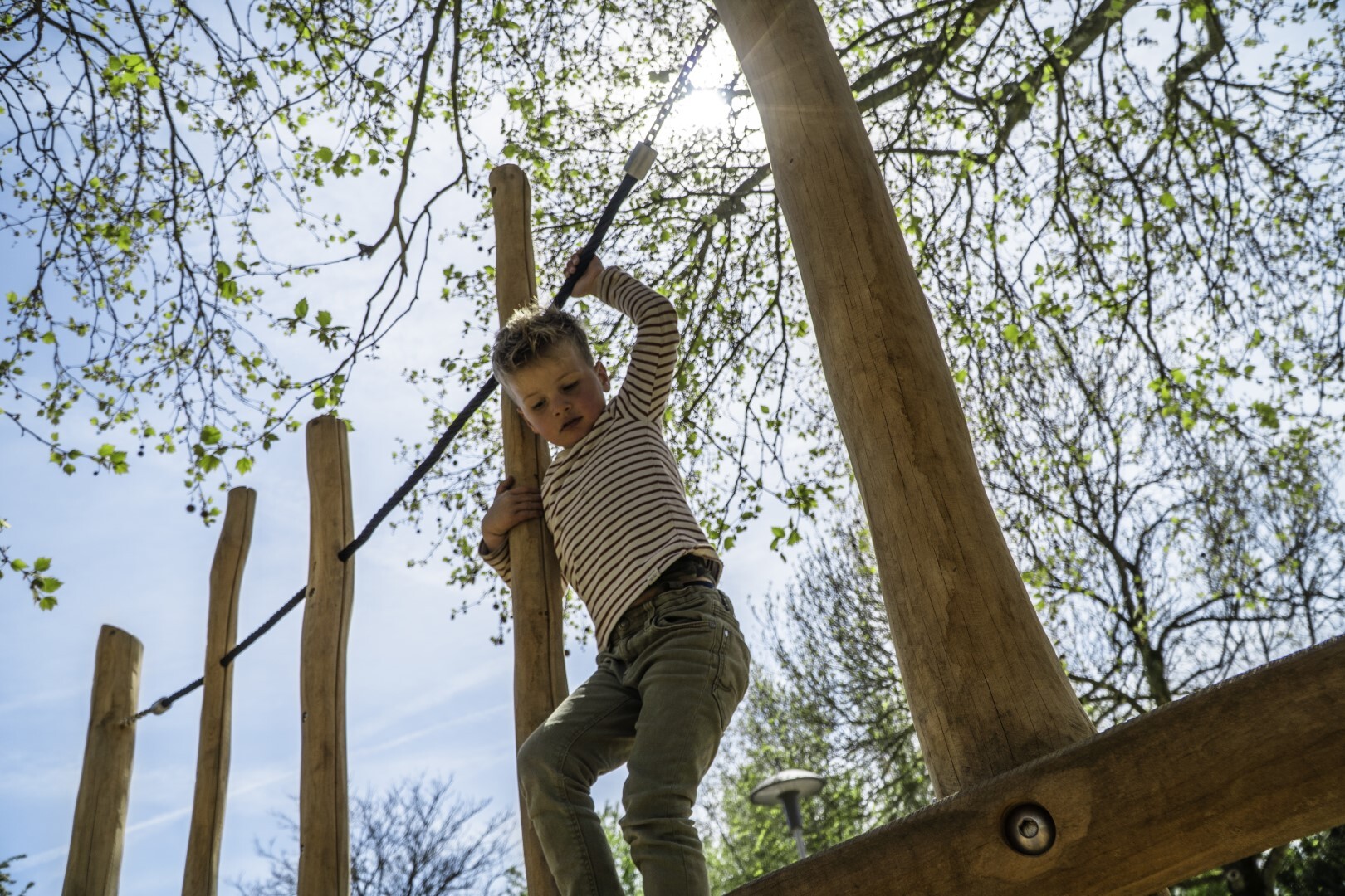 Boomhut met glijbaan